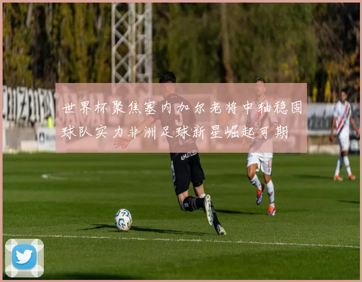 世界杯聚焦塞内加尔老将中轴稳固球队实力非洲足球新星崛起可期